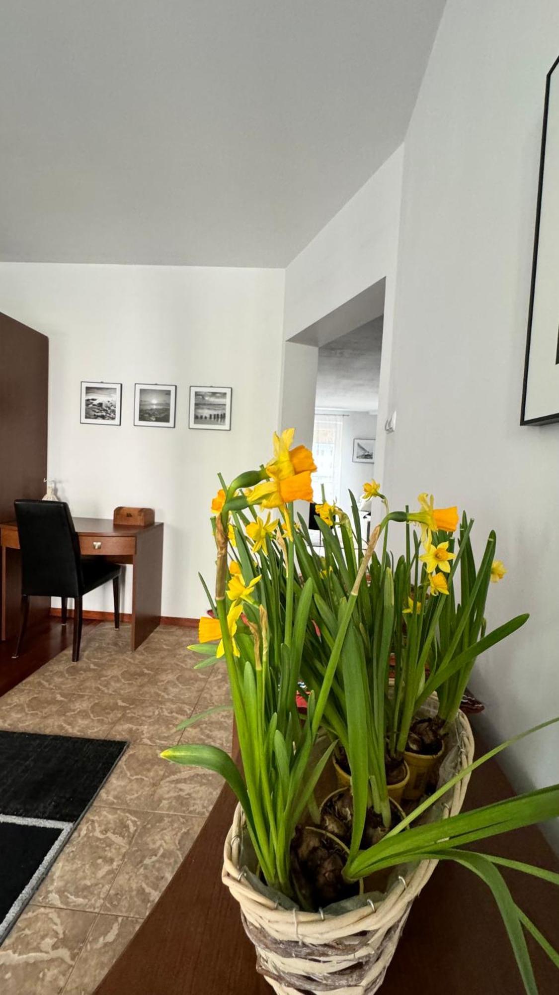 Apartament Rodzinny Колобжег Екстер'єр фото